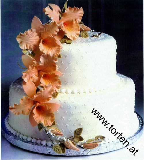 hochzeitstorte566